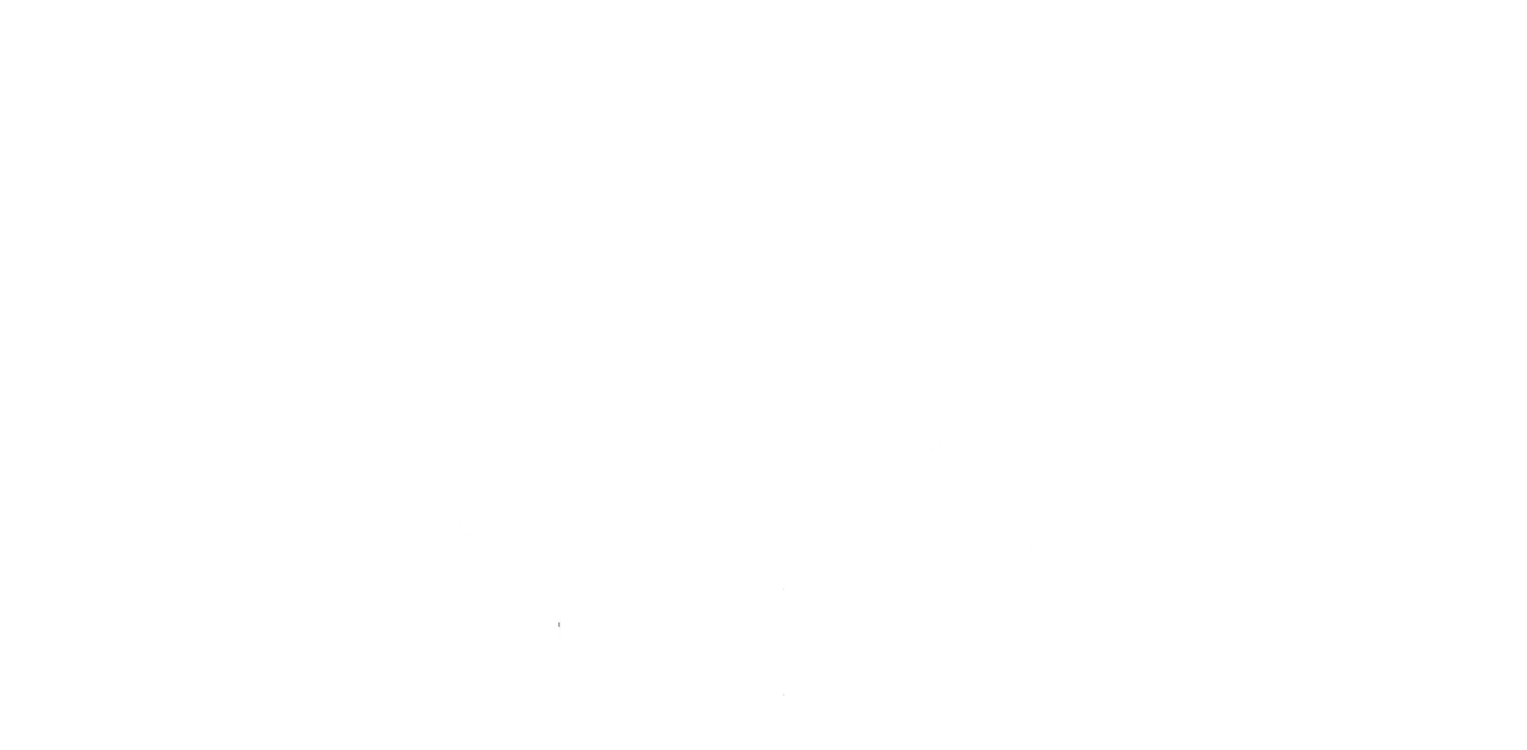 Carpet floor