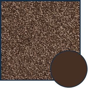 brown Carpet Dubai