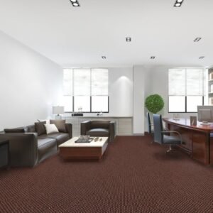 Ace 180 carpet room view