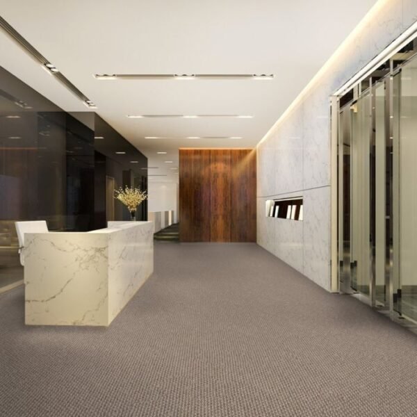 Ace 700 carpet room view