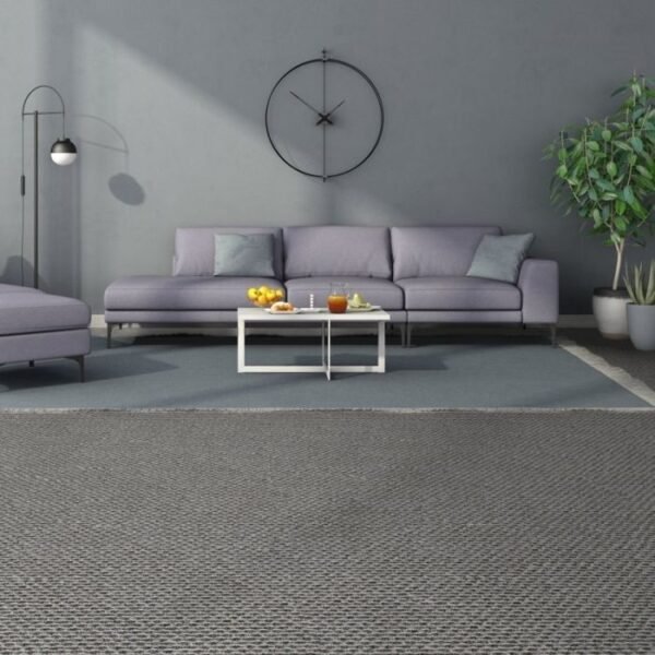 Ace 935 carpet room view