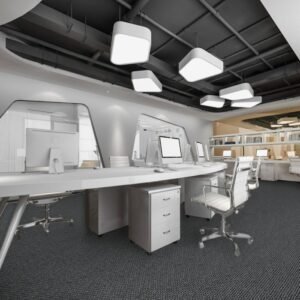 Ace 955 carpet room view