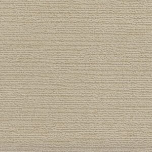Branson 891 carpet texture view