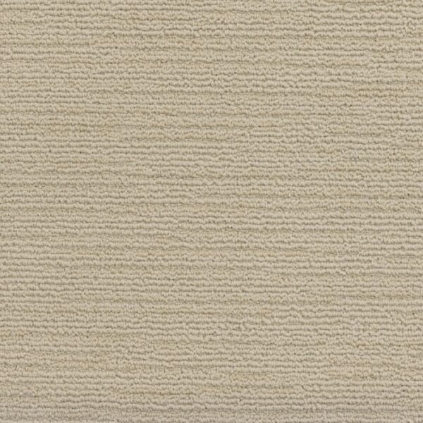 Branson 891 carpet texture view