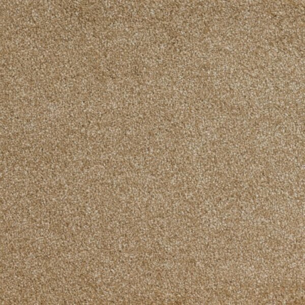 Gloriana 210 carpet texture surface