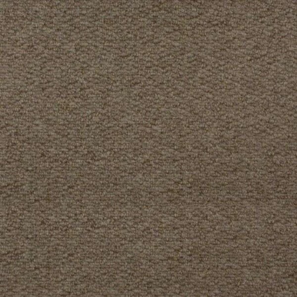 Goal 645 carpet closeup