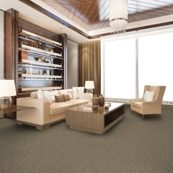 Goal 645 carpet room view