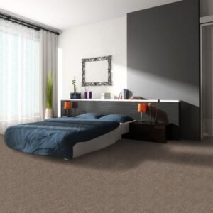 Goal 850 carpet room view