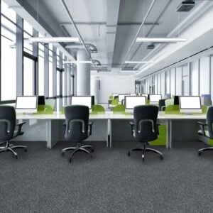 Goal 950 carpet room view