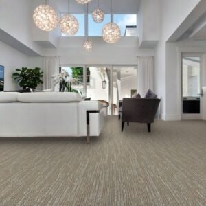Premium Branson Carpet Texture