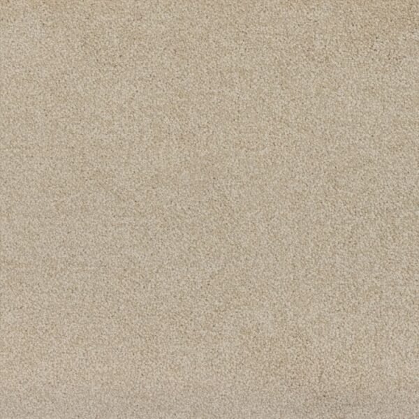 Grand Escape 1590 carpet surface view