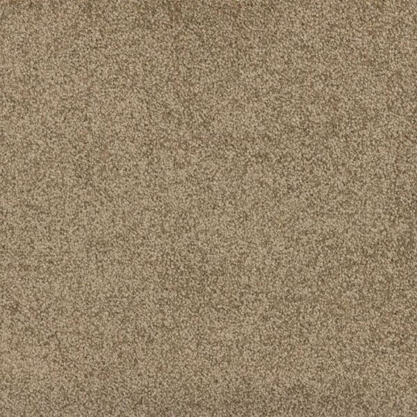 Grand Escape 1593 carpet surface view