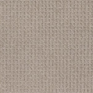 Grand Estate 871 carpet texture view