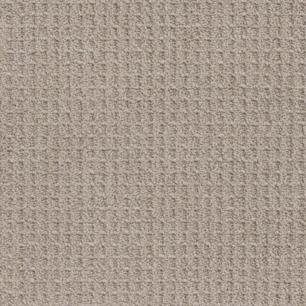 Grand Estate 871 carpet texture view
