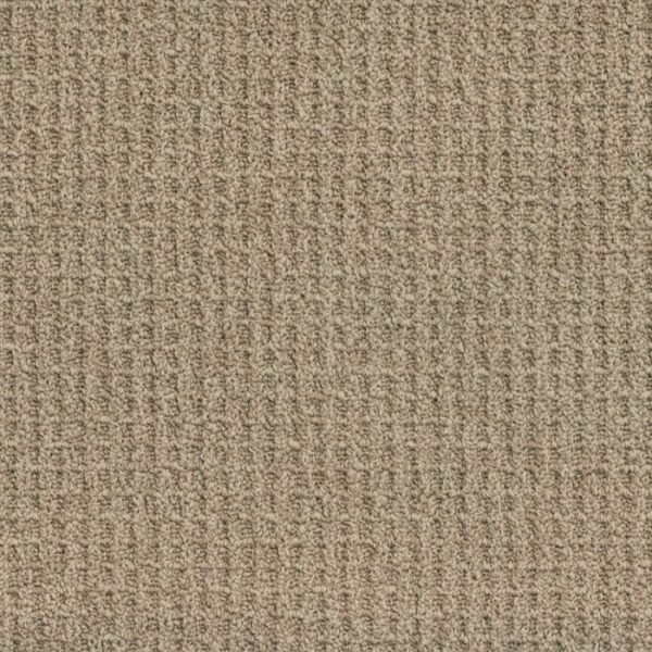 Grand Estate 893 carpet surface view