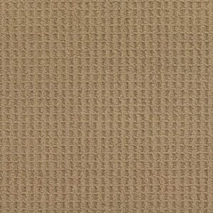 Elegant Grand Estate 896 Carpet