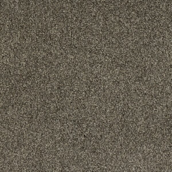 Optimize 131 Castlerock carpet texture