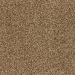 Optimize 335 Cappuccino carpet texture