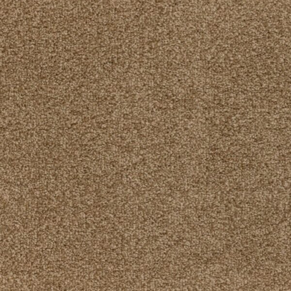 Optimize 335 Cappuccino carpet texture