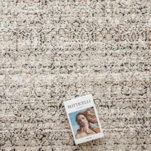 Elegant vintage traditional floor rug