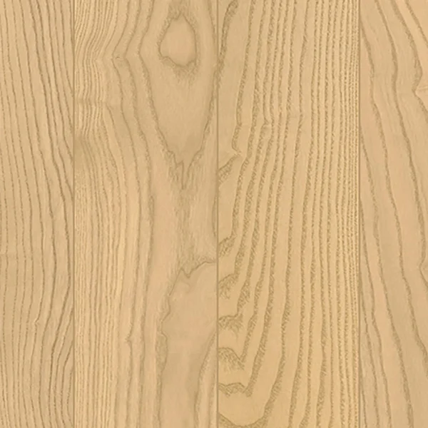 Champagne Ash Light Wood Texture