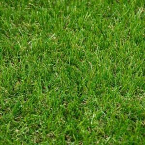 Super soft Avebury 37mm grass.