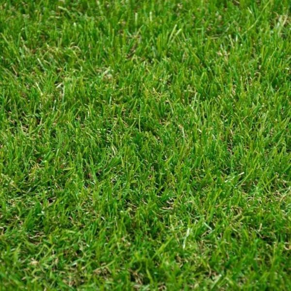 Super soft Avebury 37mm grass.