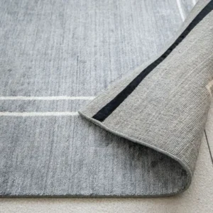 Blue and white border rug in living room