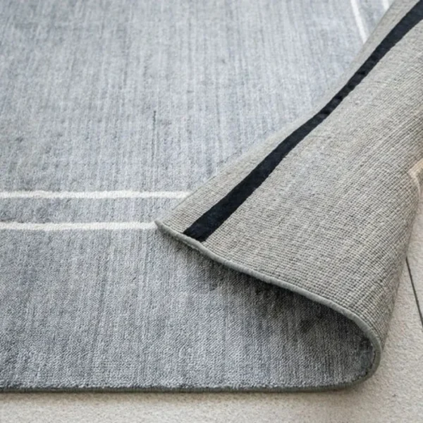 Blue and white border rug in living room