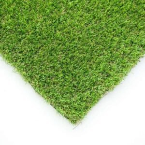 Complete Campion 30mm patch display