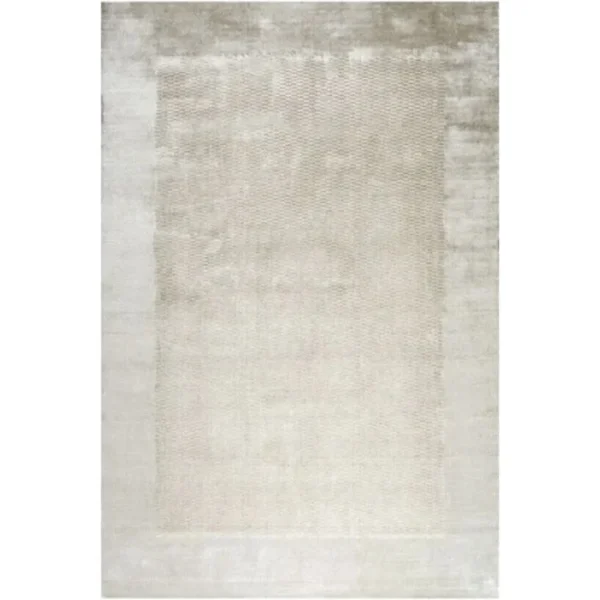 Mesh textured rug with frame border