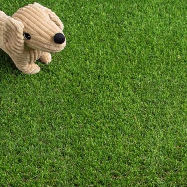 Daisy 40mm turf for vibrant displays