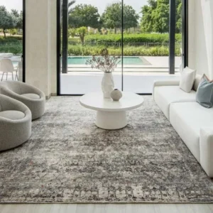 Distressed grey rug in living room