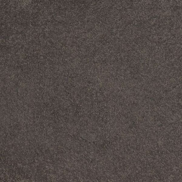 Primrose 47 modern carpet