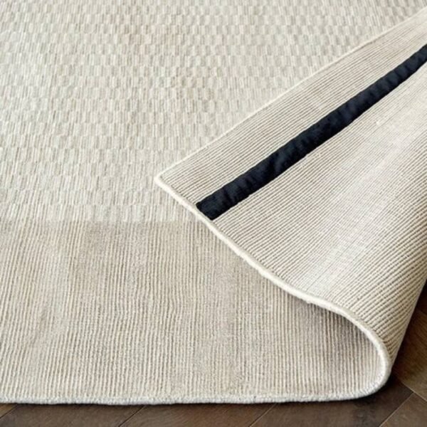 Mesh pattern rug with solid border