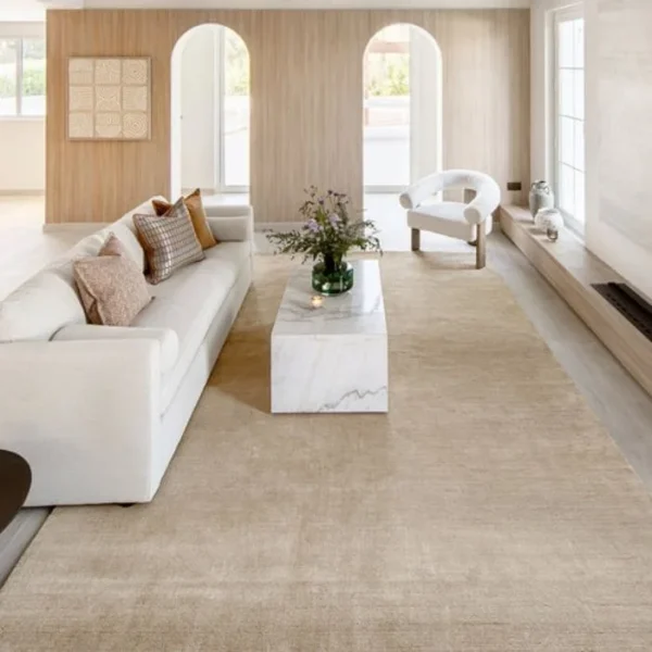 Close-up of ombré rug texture