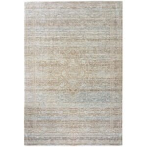 Worn medallion pattern rug texture