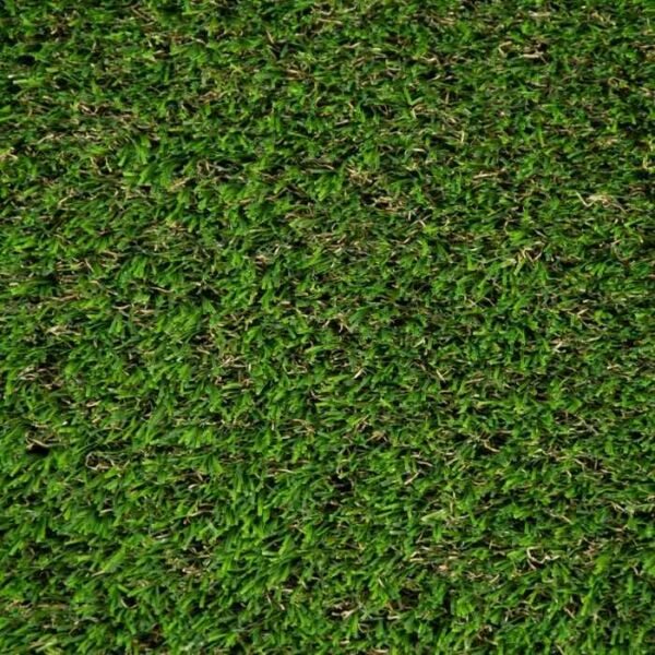 Artificial grass sample piece