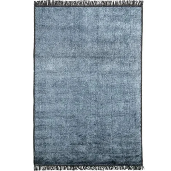 Fringe bordered area rug