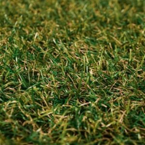 Lunar 20mm artificial grass lawn
