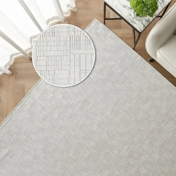 Rug in modern neutral-tone living room