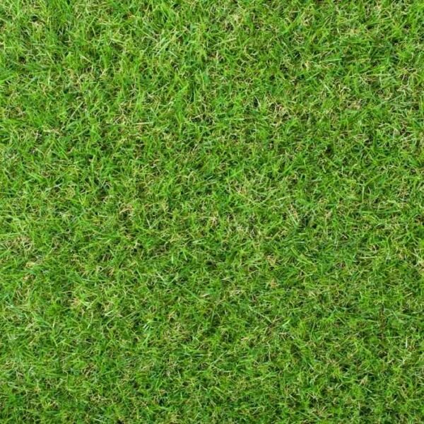 A detailed close up of Maplespring 30mm grass fibres.