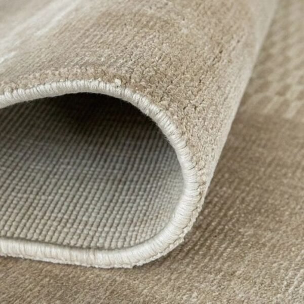 Modern Bordered Mesh Rug