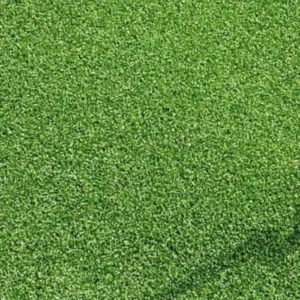 Millennium 15mm putting green turf