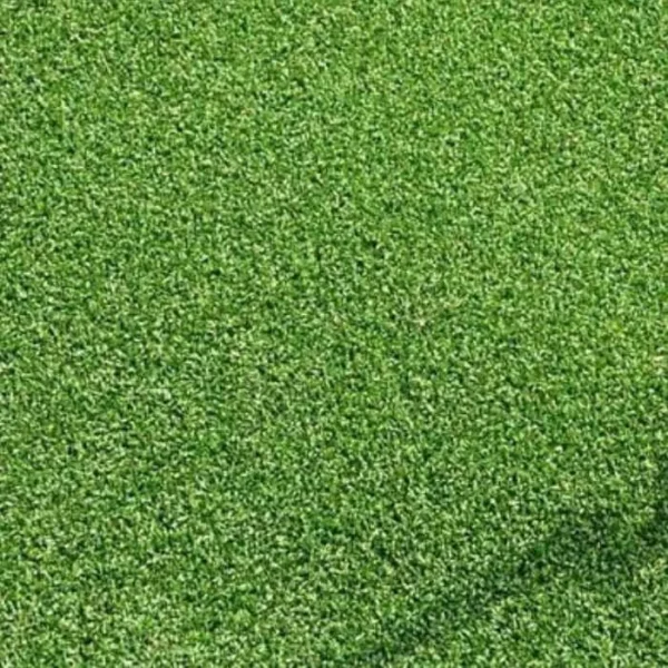 Millennium 15mm putting green turf