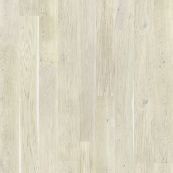 Oak Latte Light Wood Surface