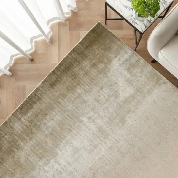 Ombré rug placed in contemporary room