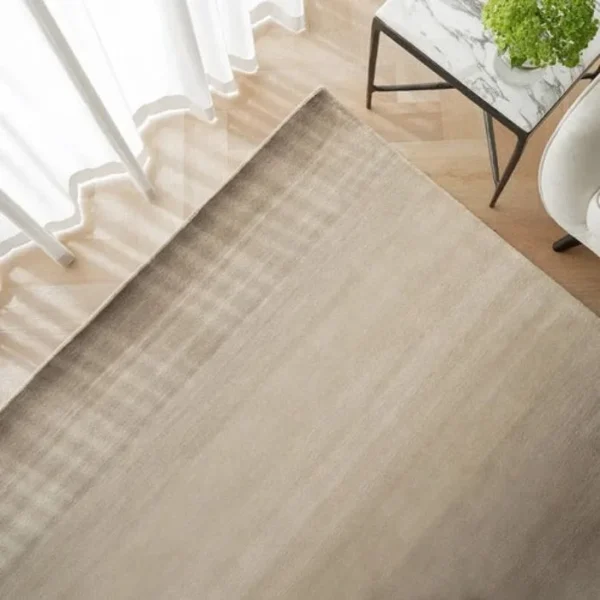 Ombré rug styled under modern furniture