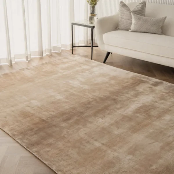 Subtle ombré stripes carpet on hardwood floor