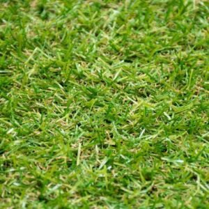 Garden fitted with Trent artificial grass